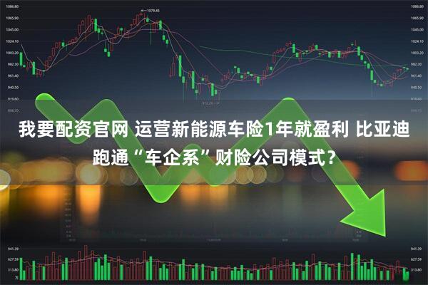 我要配资官网 运营新能源车险1年就盈利 比亚迪跑通“车企系”财险公司模式？